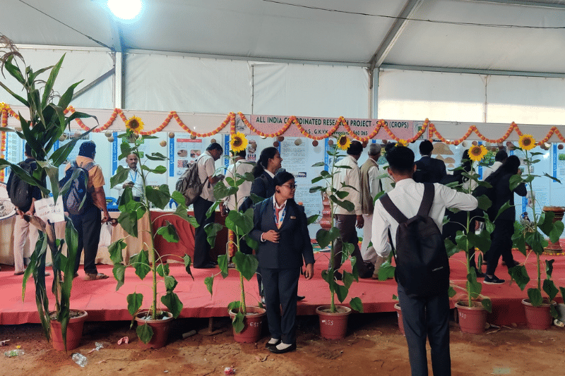 IIBS Bangalore Industrial Visit photo 19